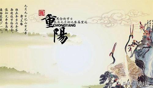 九月九日忆山东兄弟古诗（九月九日忆山东兄弟古诗的意思翻译三年级下册）