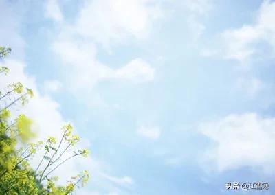描写春天的诗句（描写春天的诗句小学）