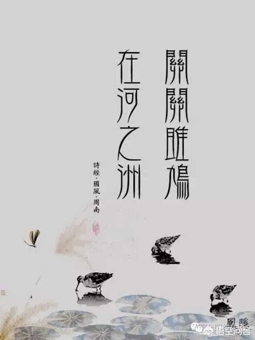 关雎原文（关雎原文朗读）（关雎原文朗读及翻译注释）