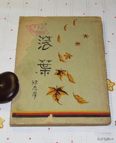 徐志摩的散文《落叶》（徐志摩的散文《落叶》感悟）