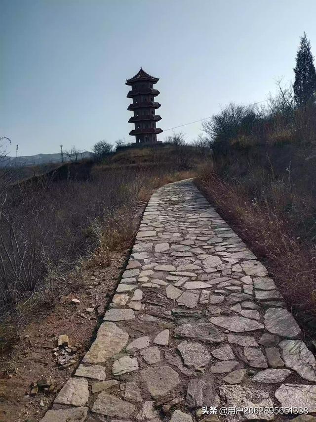 中国诗歌网登录（中国诗歌网登录入口肖丽娜）
