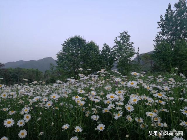 路上行人欲断魂（路上行人欲断魂欲是什么意思）