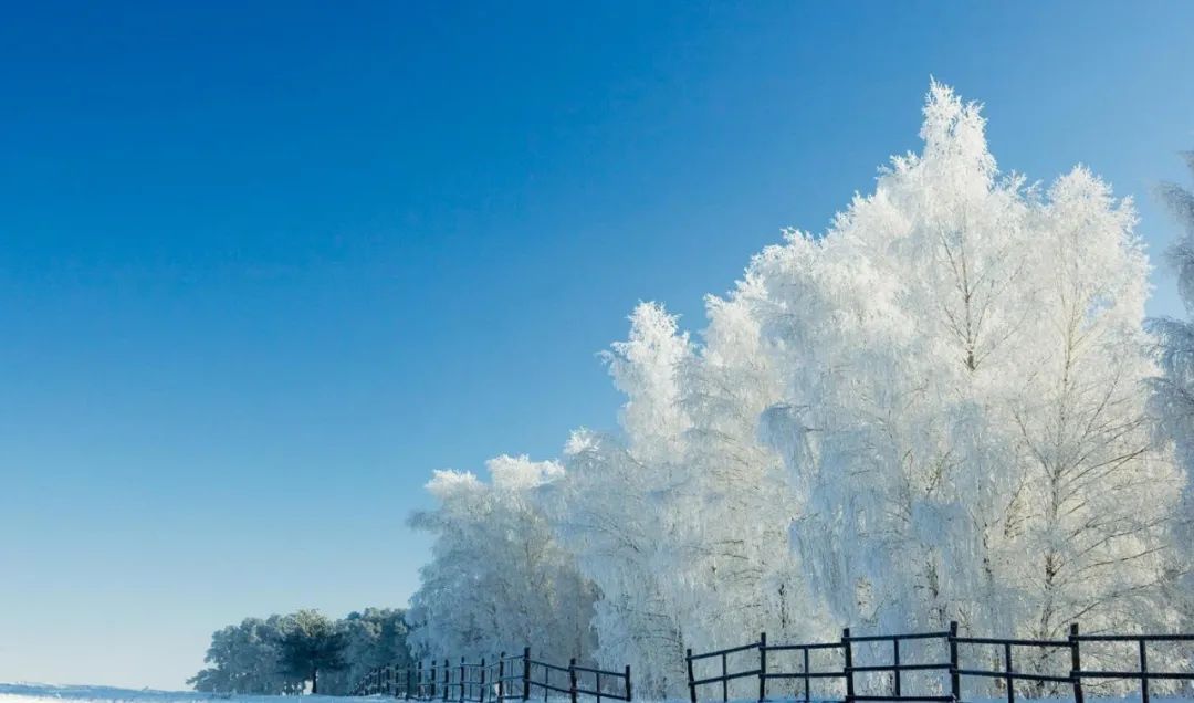 古诗《雪》（古诗雪月梅翻译及注释）