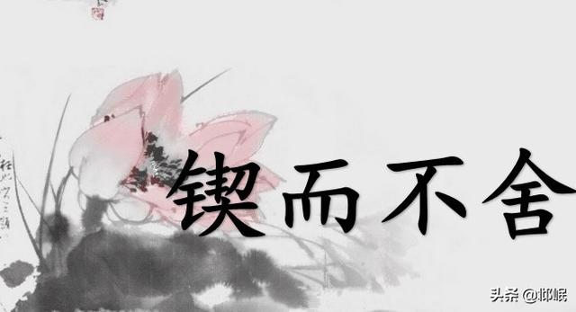 锲而不舍的意思（锲而不舍的意思及成语解释）