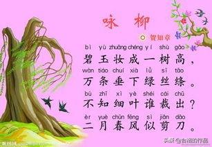 咏柳古诗的意思全解（咏柳古诗的意思全解简短）