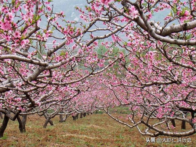人间四月芳菲尽（人间四月芳菲尽山寺桃花始盛开的哲理）