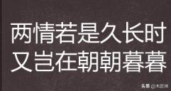 两情若是久长时又岂在朝朝暮暮