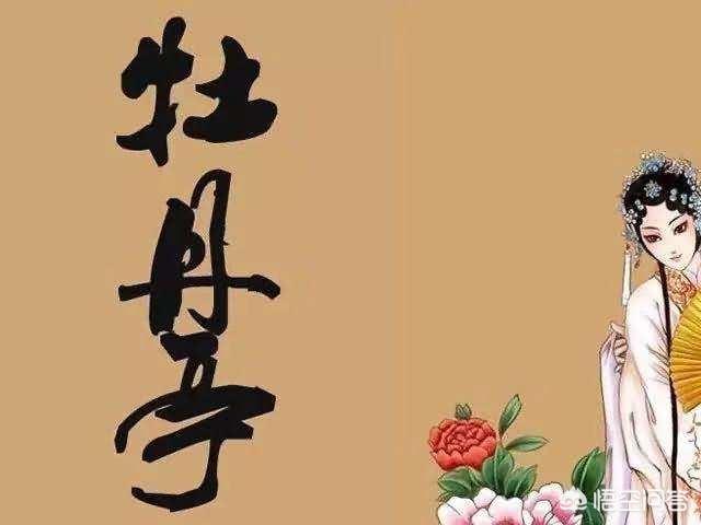情不知所起一往而深（情不知所起一往而深的意思）